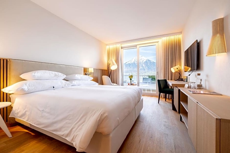 Standard Double room with lake view