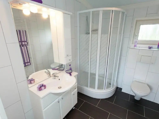 Comfortable Chalet Located in the Green Achterhoek