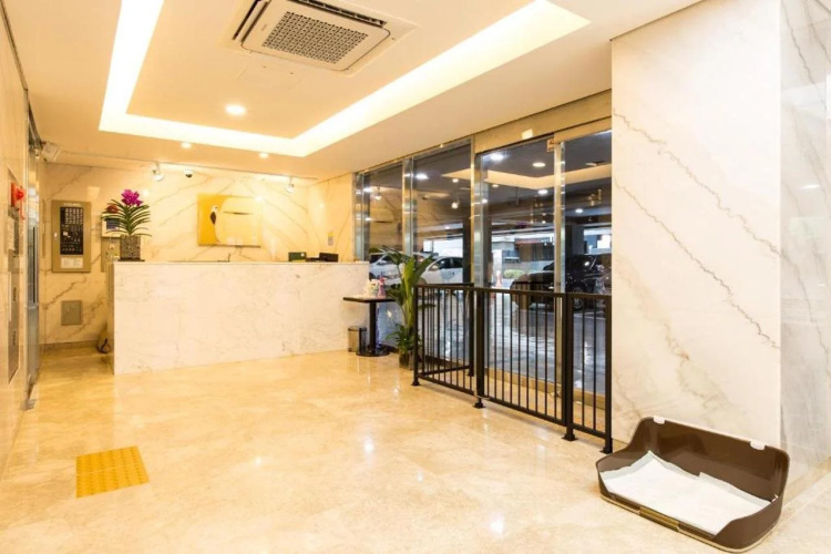 The Pettel Premium Suite