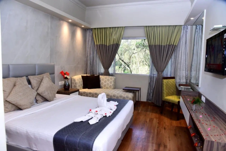Deluxe Double room with view
