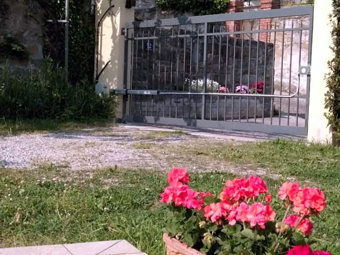 Alle rose barcolane