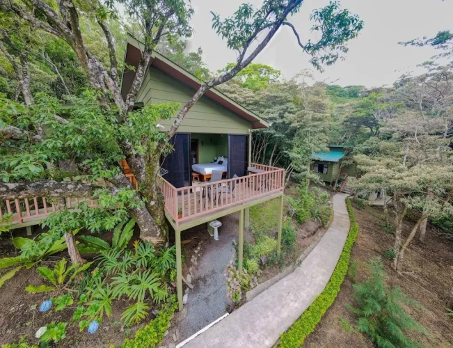 Standard Family room with balcony and with garden view