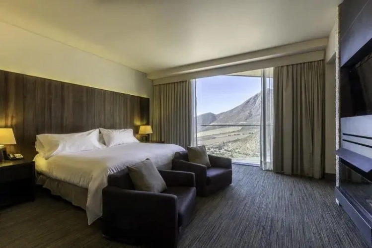 Superior Suite