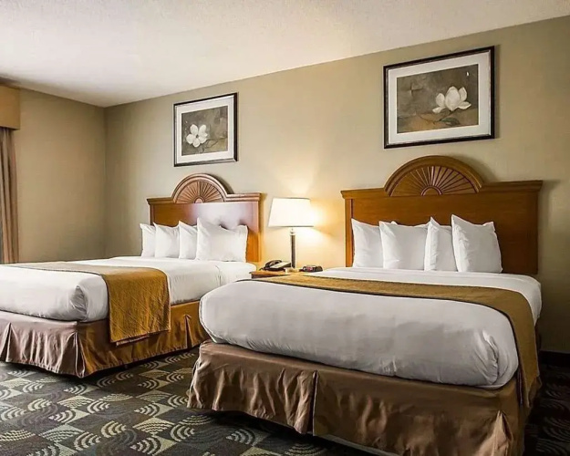 Quality Inn & Suites