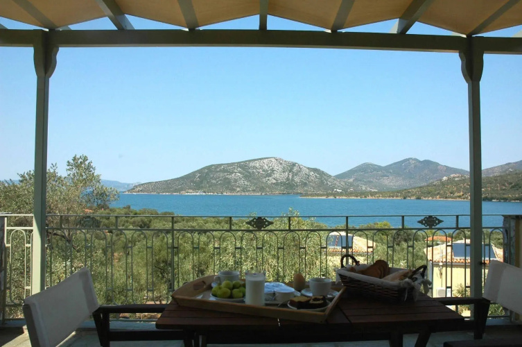 Gera's Olive Grove