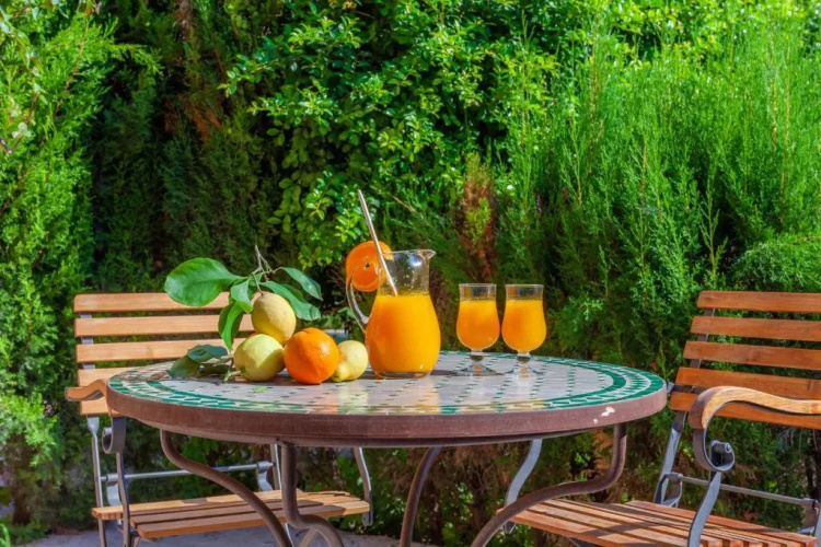 Hotel Finca Ca's Curial