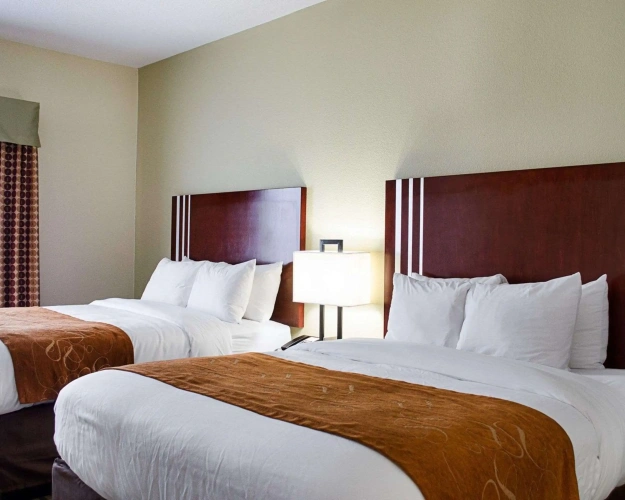 Quadruple Suite