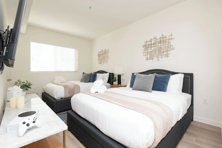 Deluxe Apartment