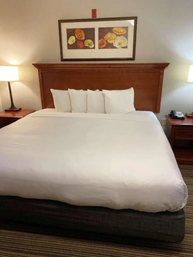 Quadruple Suite