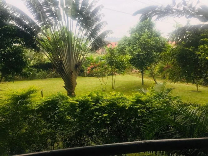 Natures Guesthouse