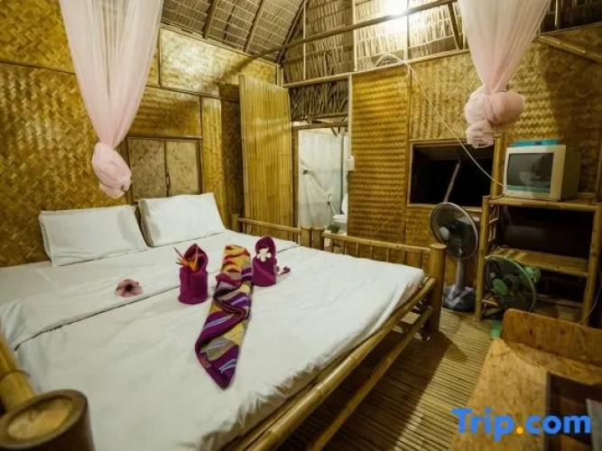 Standard Double room with garden view