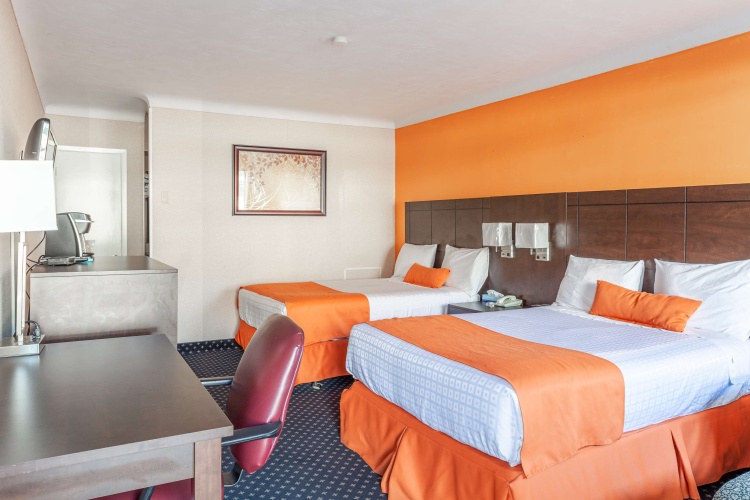 Quadruple Junior Suite