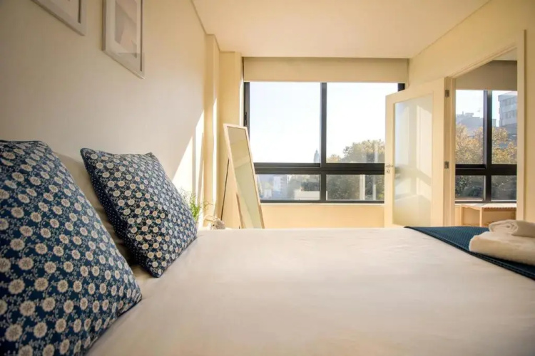 Green Suite