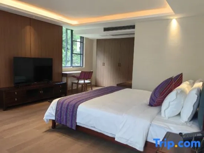 1 Bedroom Suite