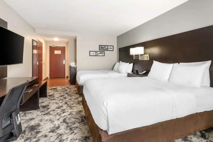 Standard Quadruple room