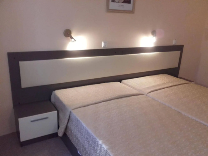 Hotel Bor