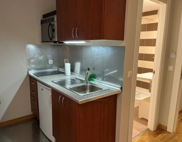 1 Bedroom Standard Apartment