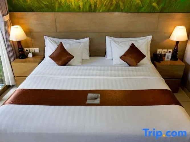 1 Bedroom Villa