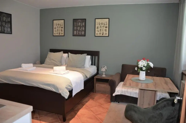 Double Studio with garden view
