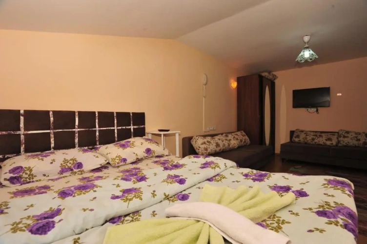 Standard Double room with mountain view