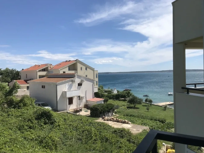 1 Bedroom Standard Apartment
