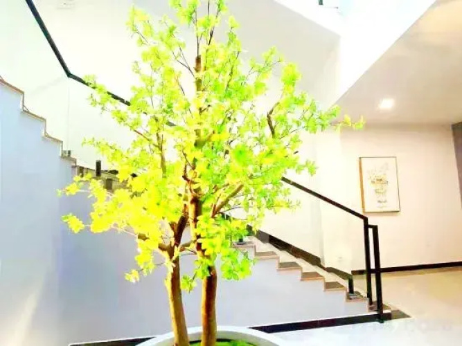 ShiGuang  Hotel