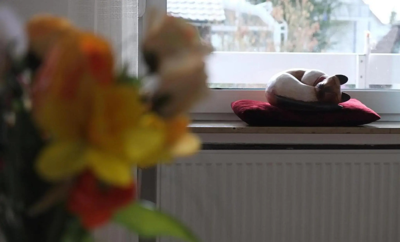 Ferienwohnung Liene