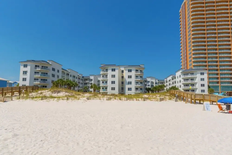 Palm Beach D-21