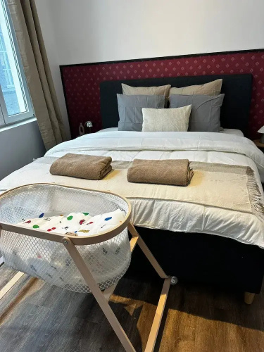 Stylish 1BR plus LR Apt Ghent Castle