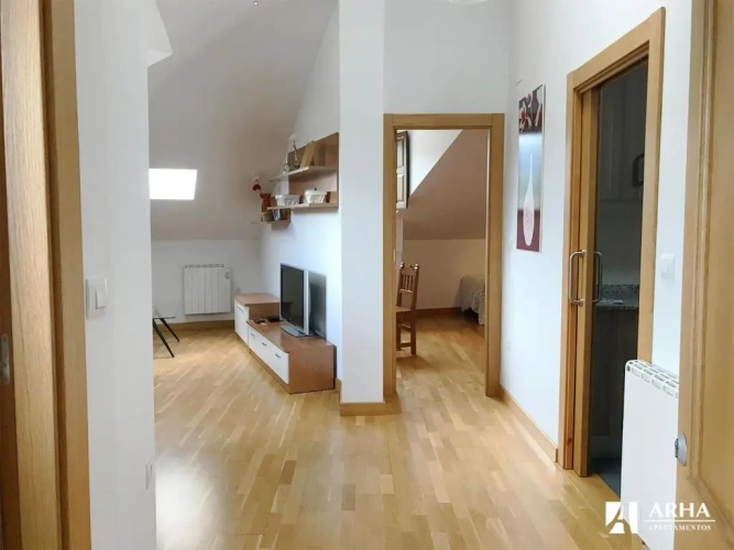 1 Bedroom Standard Attic room