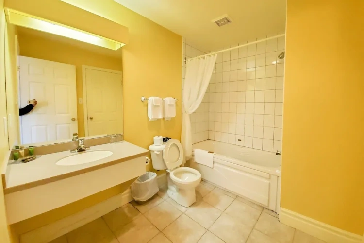 Standard Suite