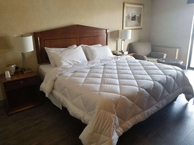 Double Suite