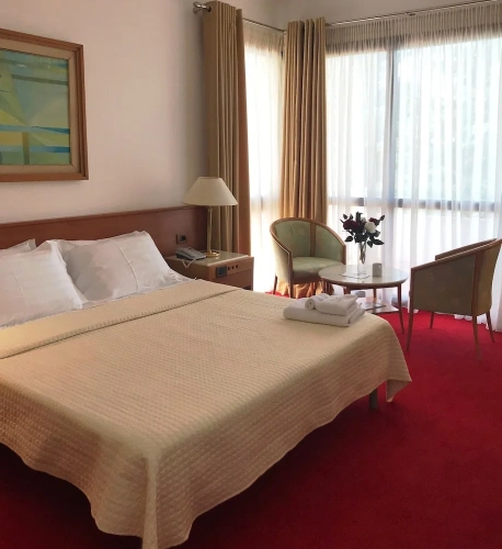 Standard Double room with mountain view
