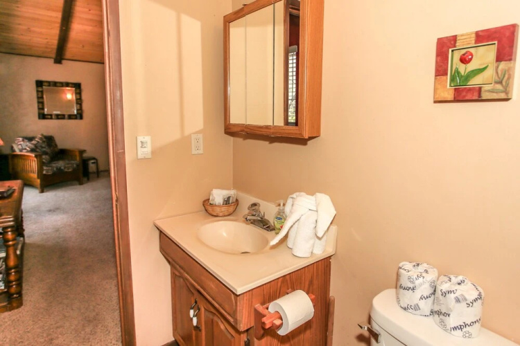Ski Big Bear Chalet