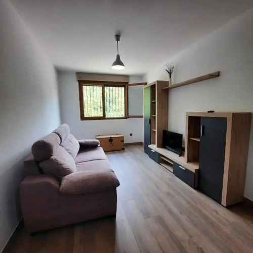 Basement Apartment