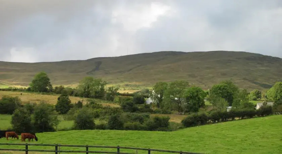 Glenview Lodge B&B
