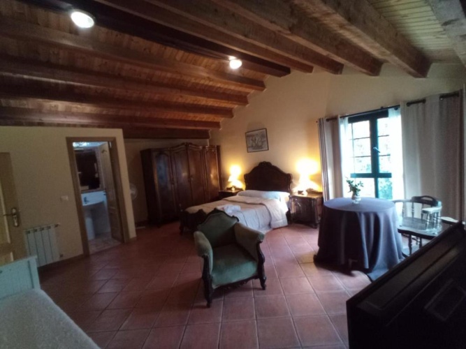 Standard Double room with pool view