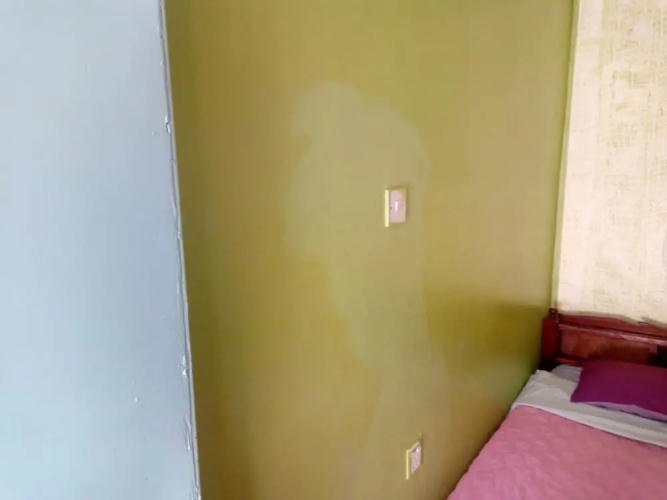 Joyous Guest House