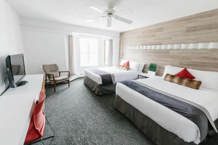 Standard Quadruple room