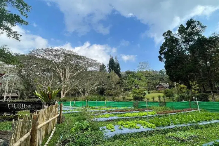 Phu Ing Fah Resort