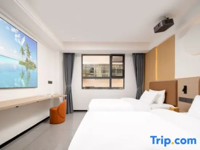 Twin Suite