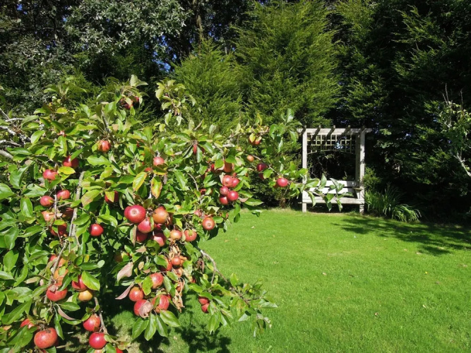 The Cider Barn in Saint Austell