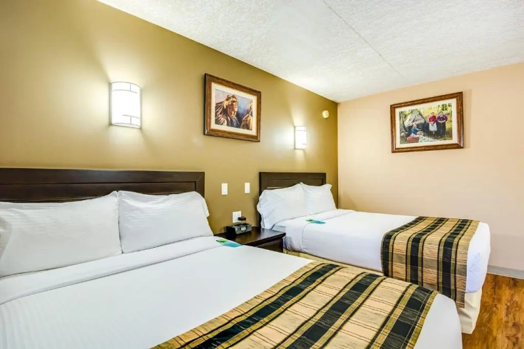 Standard Quadruple room