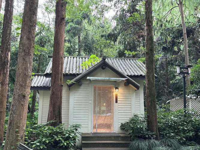 Superior Twin room with park view