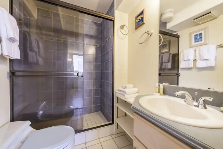 Vacation Rentals Hawaiian Monarch