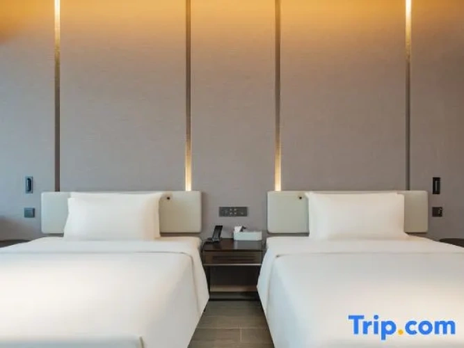Executive Twin room