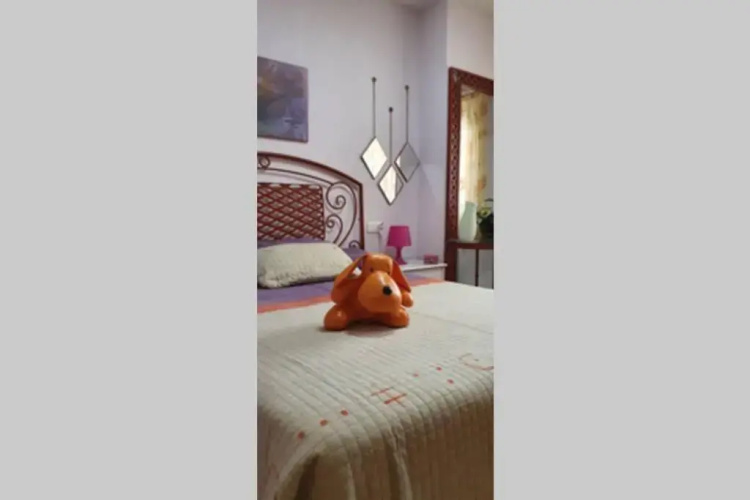 COQUETO