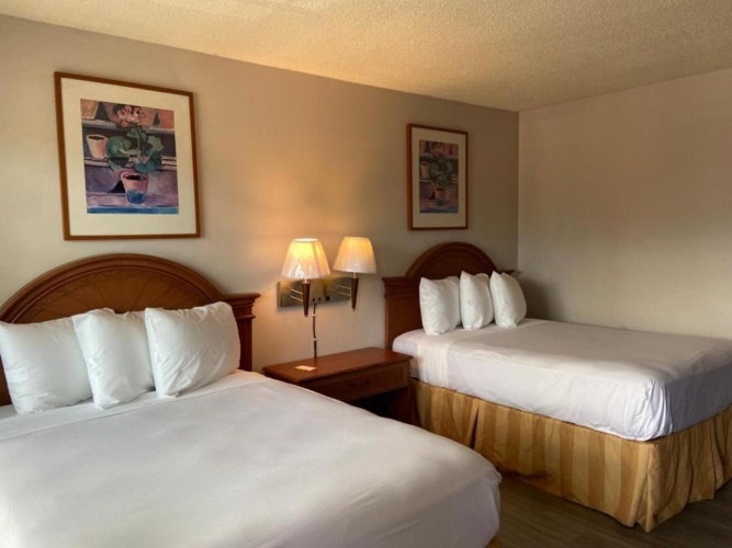 Standard Quadruple room