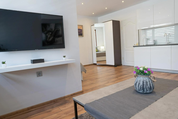 Shushi's Central Studio Apartment