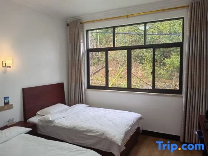 Standard Twin room with mountain view